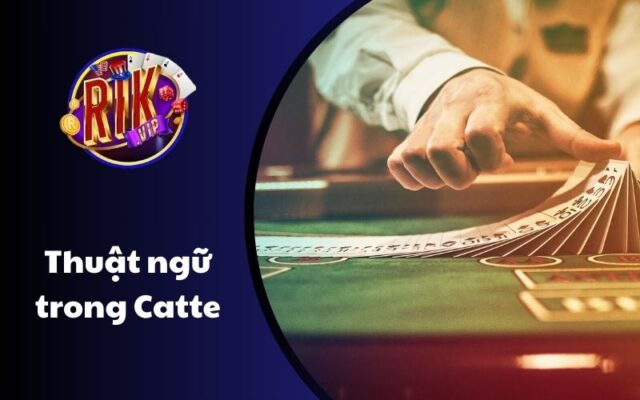 Nắm rõ các thuật ngữ trong game bài Catte