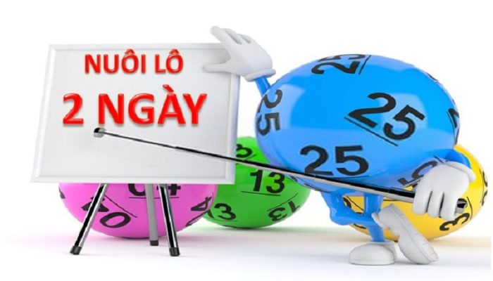 Cách vào tiền lô kép nuôi khung 2 ngày để tối ưu lợi nhuận