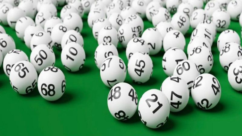 Các phương pháp bắt lô kép nuôi khung 2 ngày chuẩn xác nhất