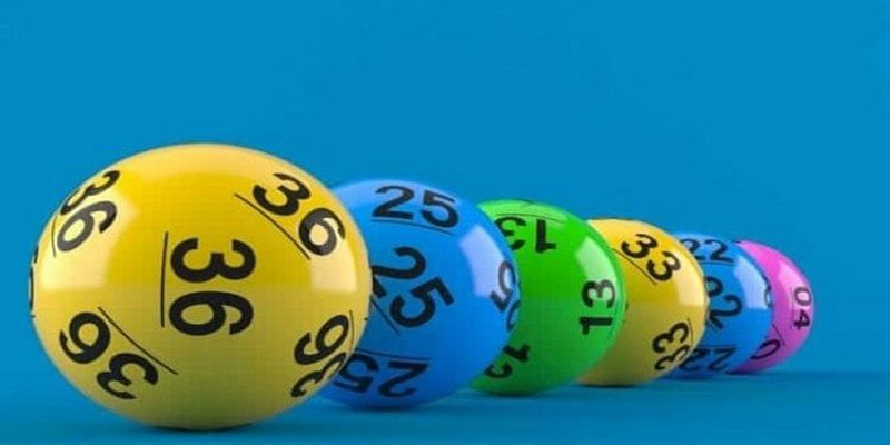 Hiểu rõ về phương pháp nuôi lô khung 2 ngày