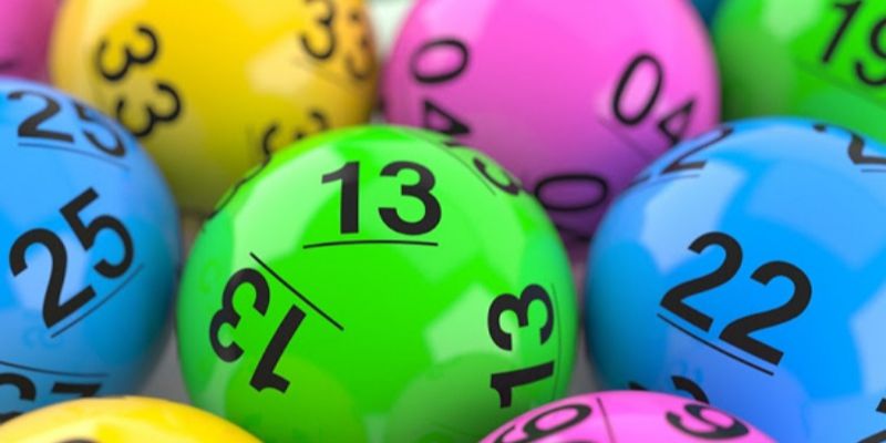 Khái niệm nuôi lô khung 5 ngày là gì?